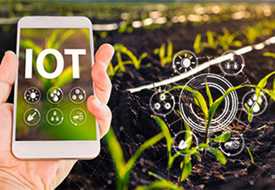 Unveiling IoT's Impact on Agriculture Through User Cases