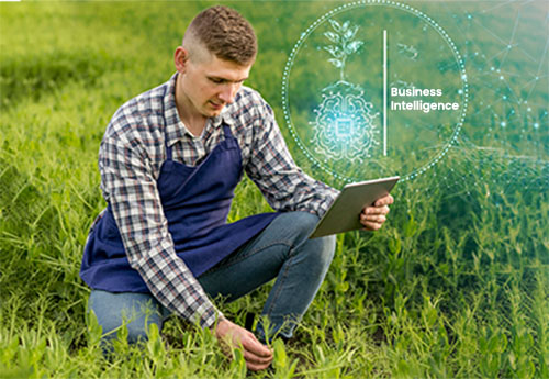 Unlock the potential of your agriculture field by Integrating Business Intelligence Solutions